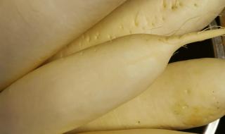 想念你的味道 想念你的味道